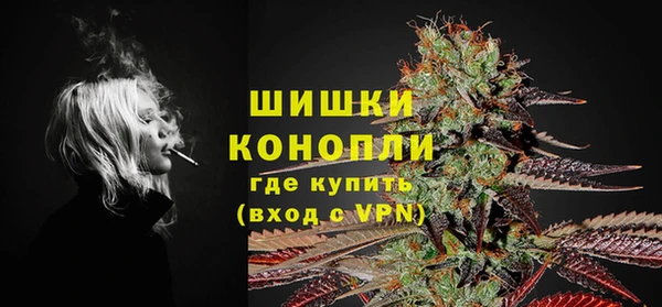 тгк Бронницы