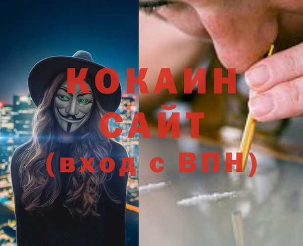 тгк Бронницы