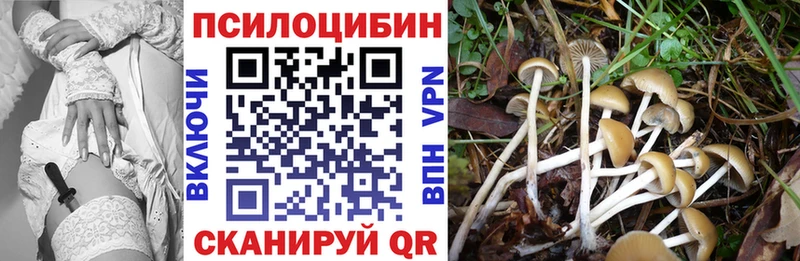 Галлюциногенные грибы Psilocybine cubensis Истра